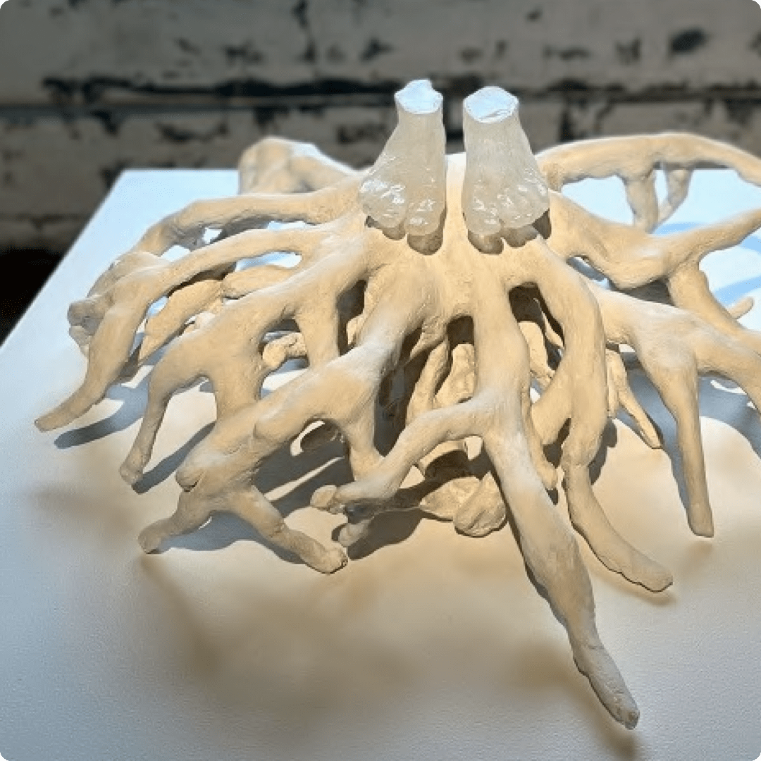 how to choose museum lighting for paintings in California, San Francisco