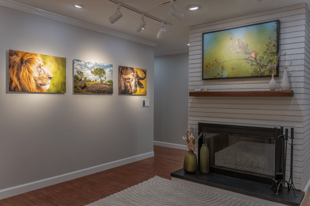 Professional advice on conservation safe lighting in Florida, Tampa