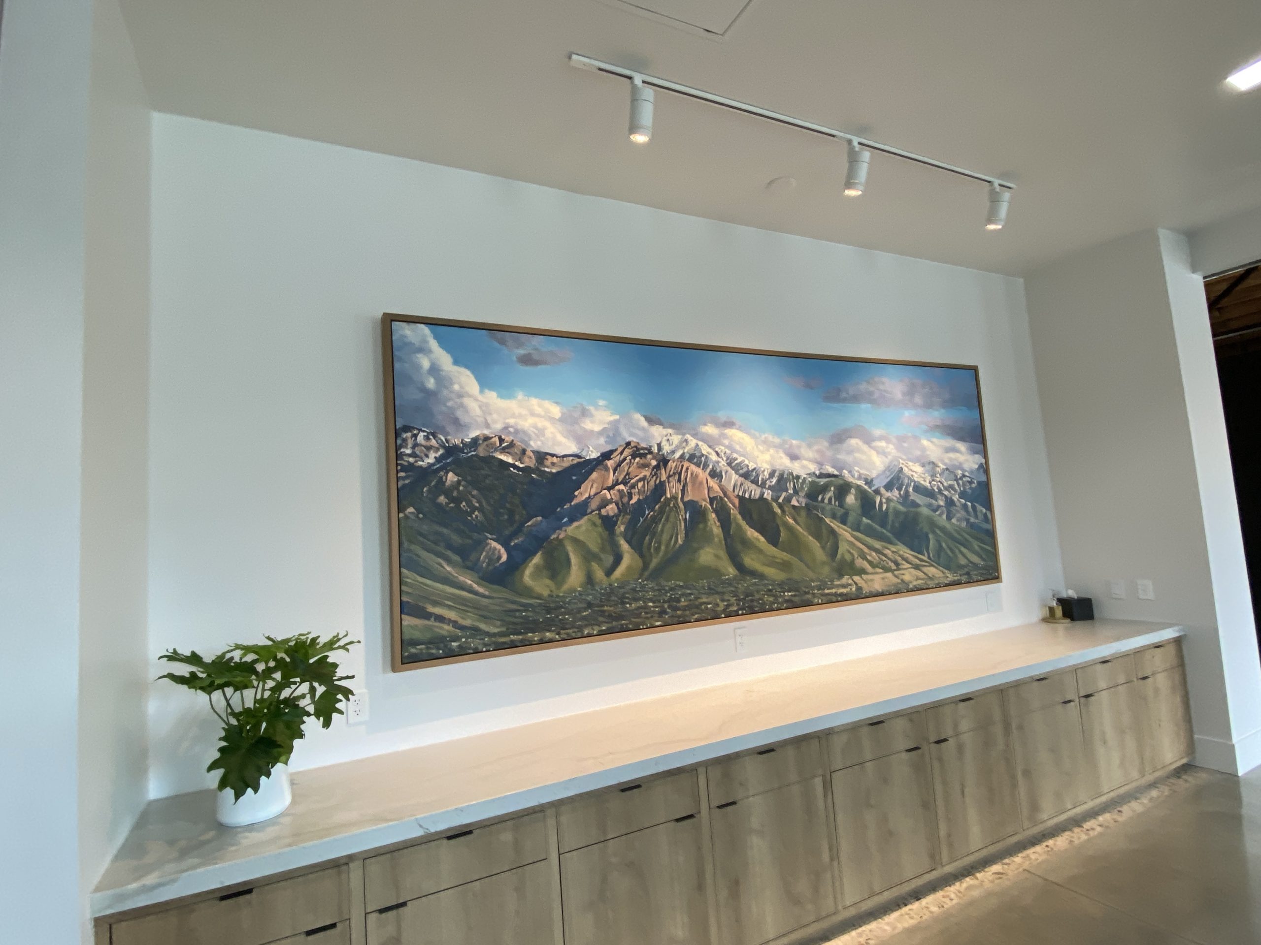 Buy adjustable art gallery track lights Illinois, Chicago