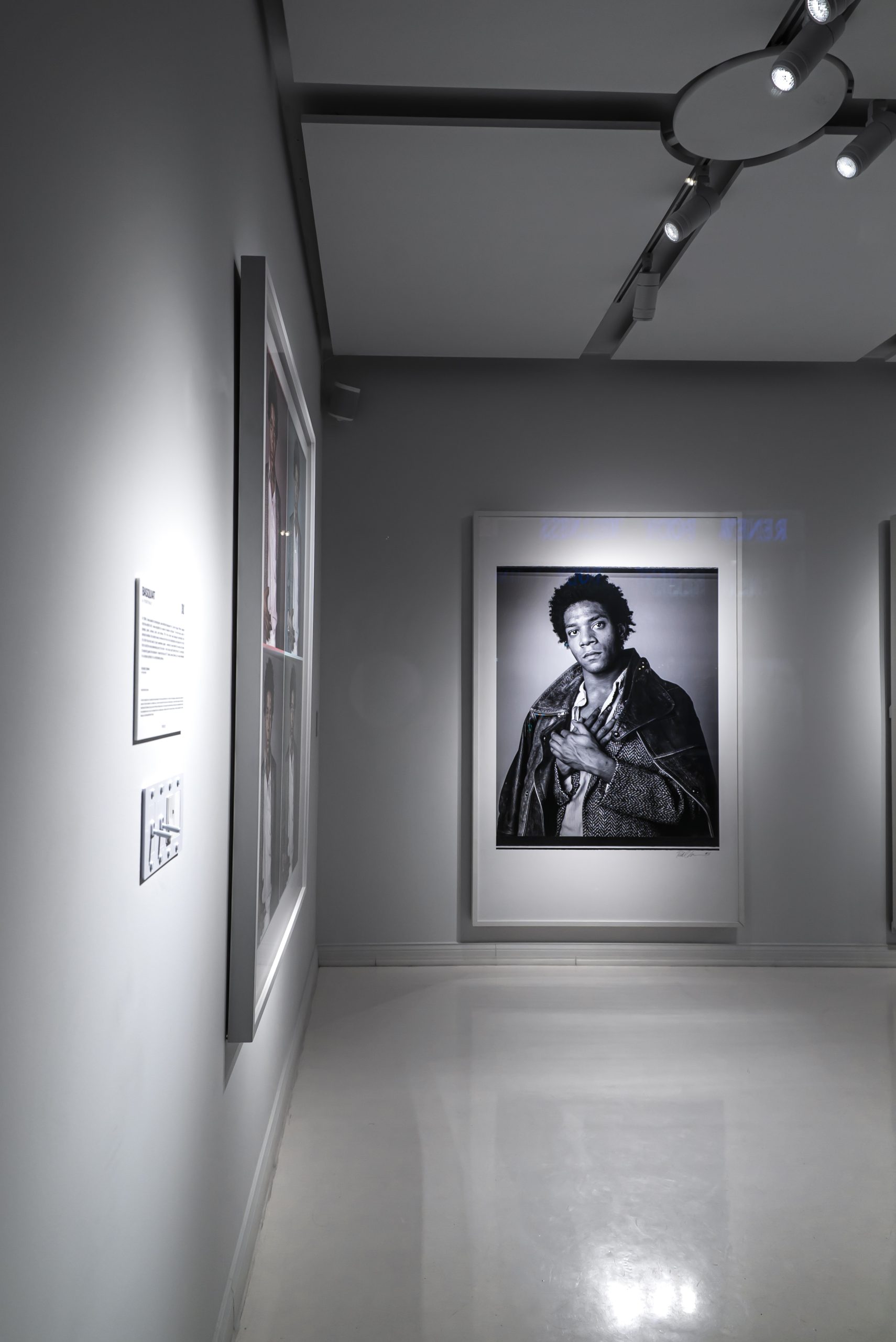 Advice on choosing ceiling art lights for paintings in Florida, Jacksonville