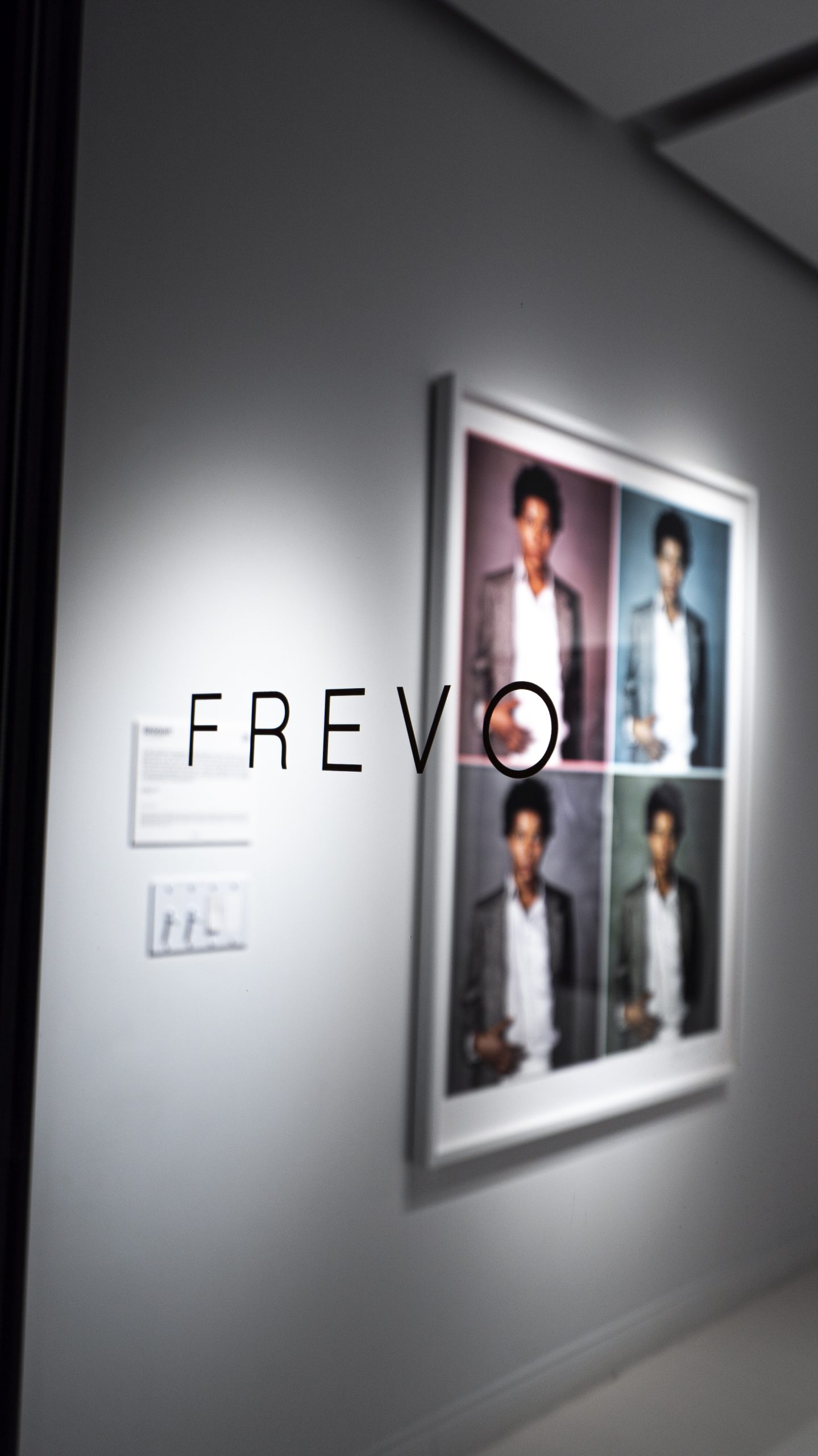 Track lighting price for museum-grade art display in Illinois, Evanston