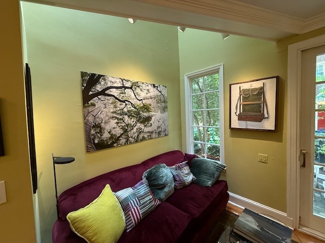 Cost of museum grade lighting systems in California, San Diego