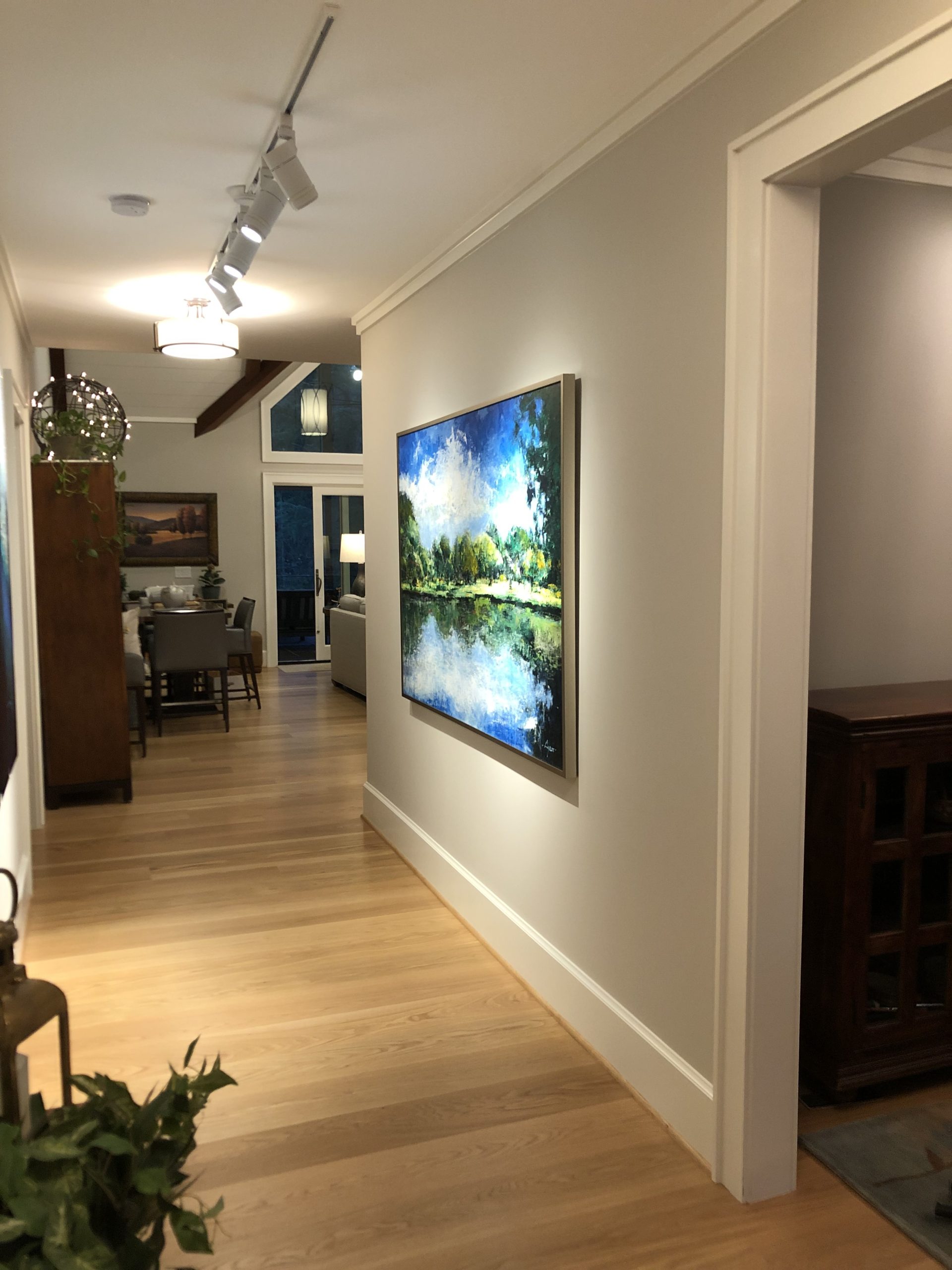 Buy track lighting for artwork display walls in Texas, Houston