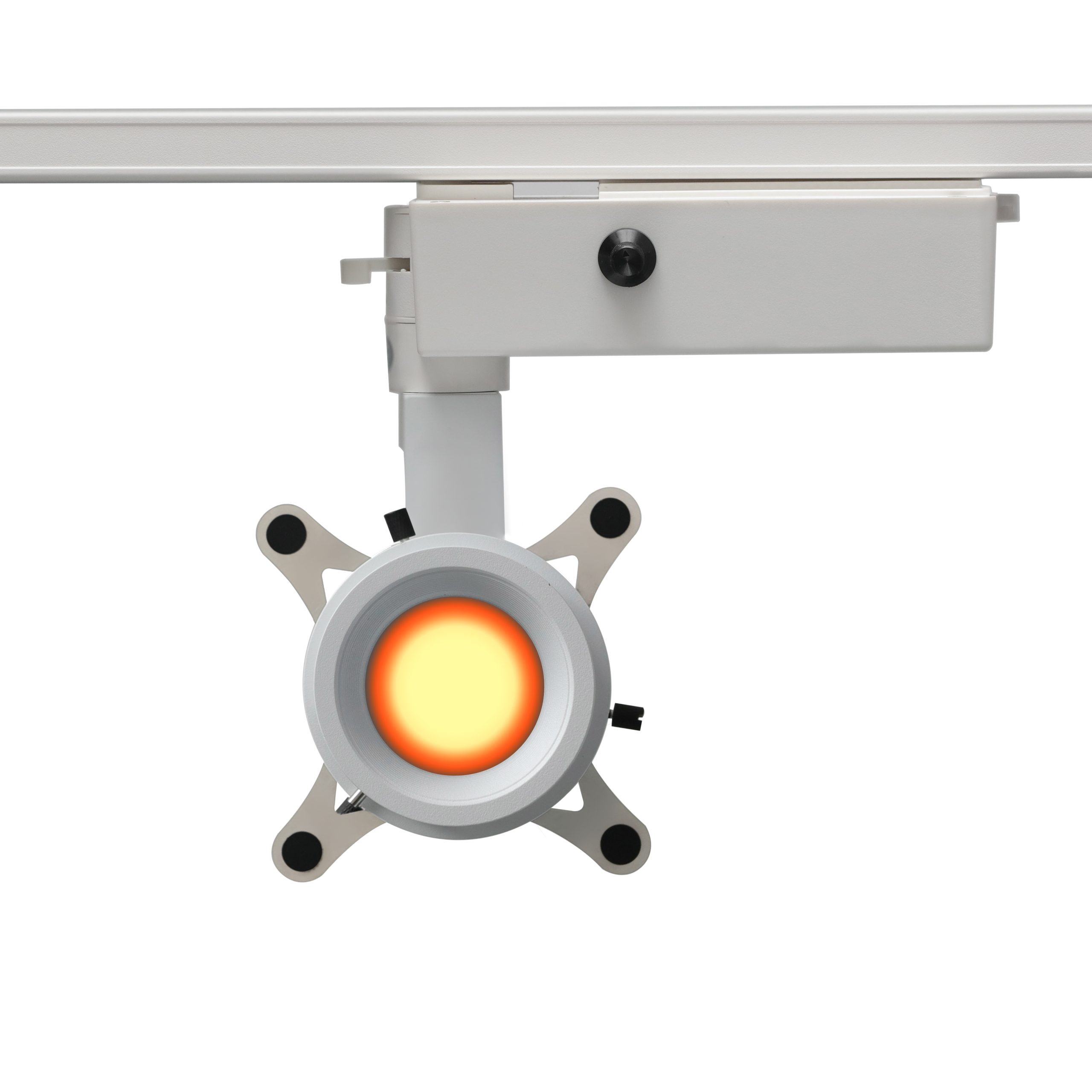 How to choose art lighting for paintings in Oregon, Portland