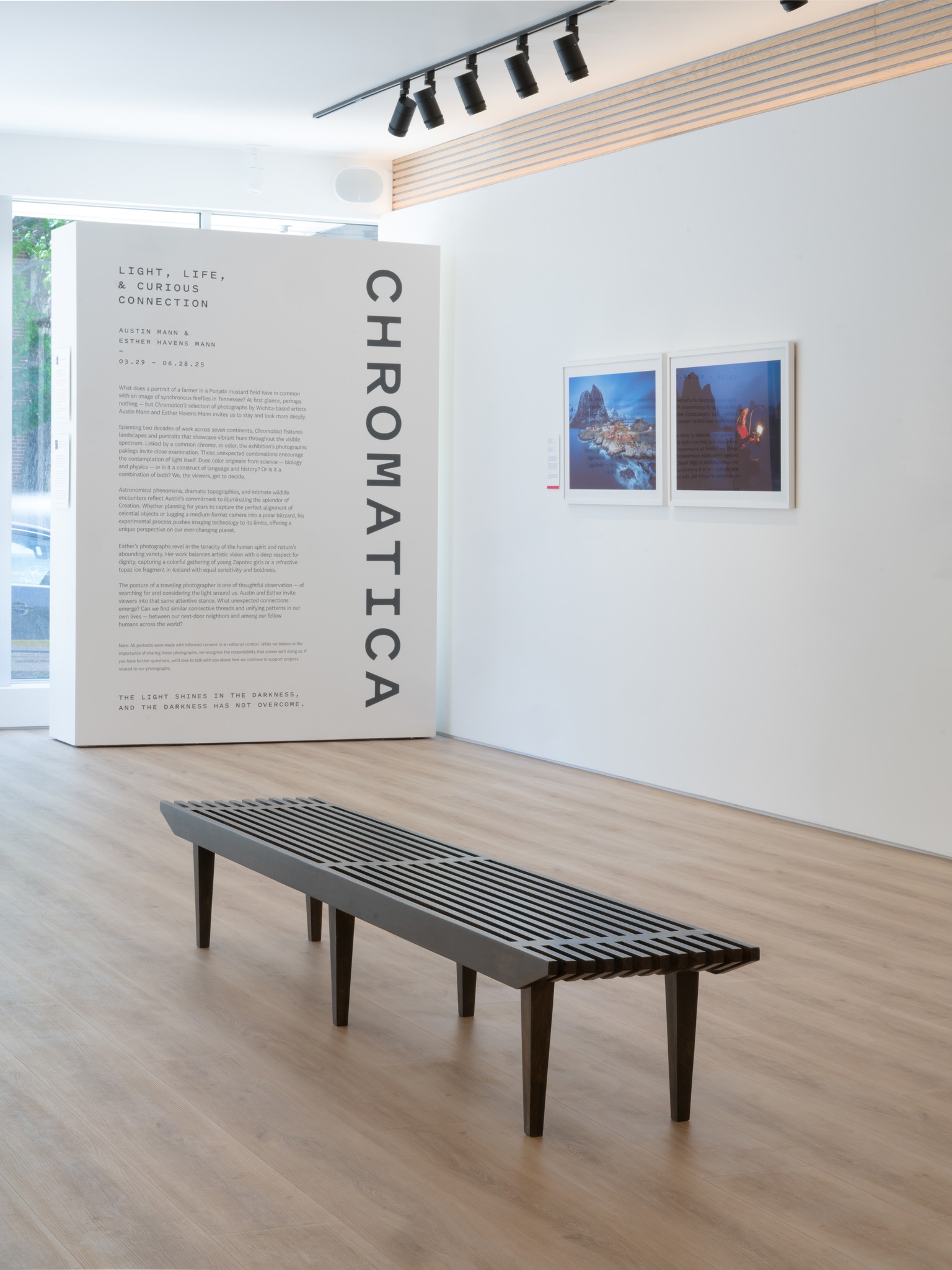 Buy adjustable art lighting fixtures for collectors in New York