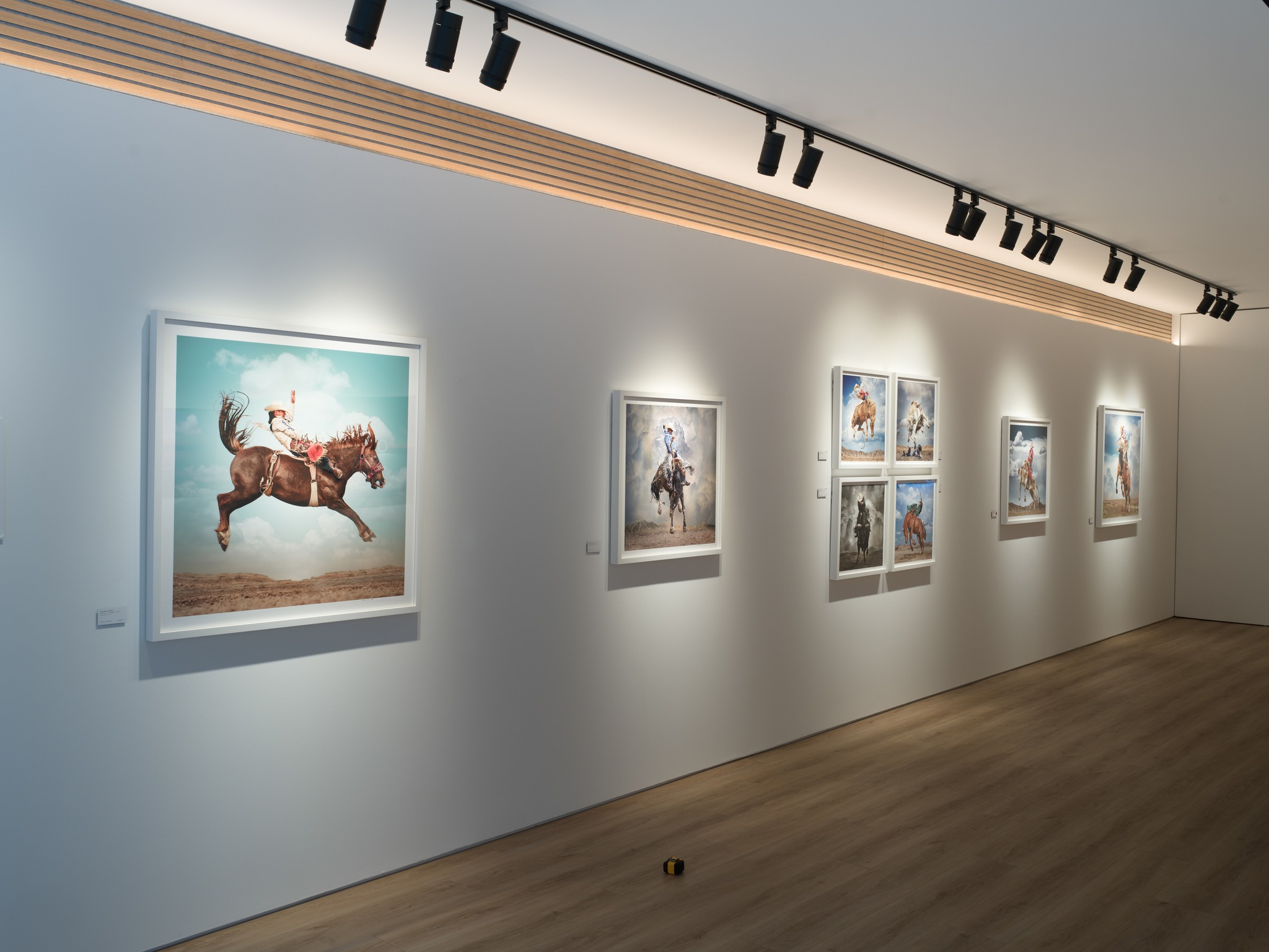 Buy professional light fixtures for artwork in California homes and galleries