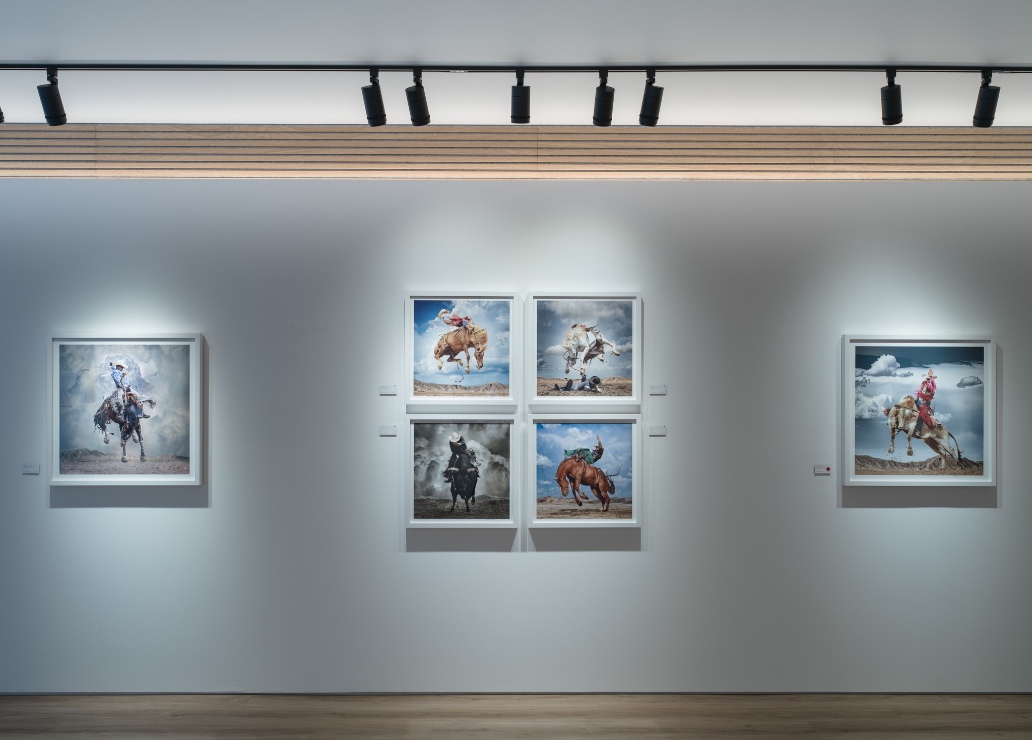 Buy adjustable beam art gallery track lights in Florida, Miami spaces