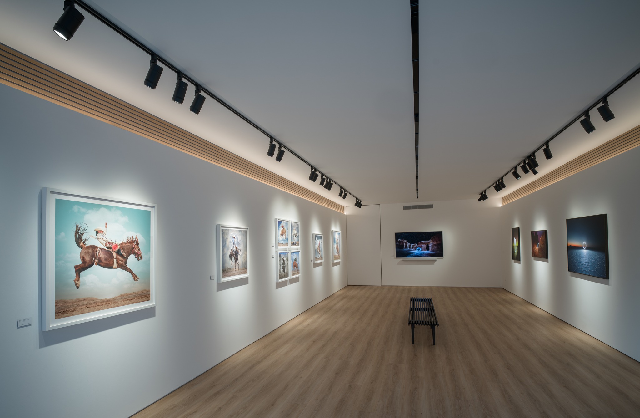 Buy track lighting for art display in California gallery spaces