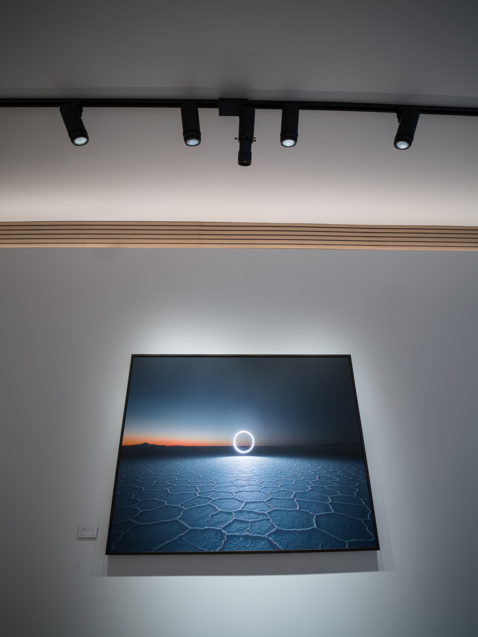 Expert advice on track lighting for art display in California homes