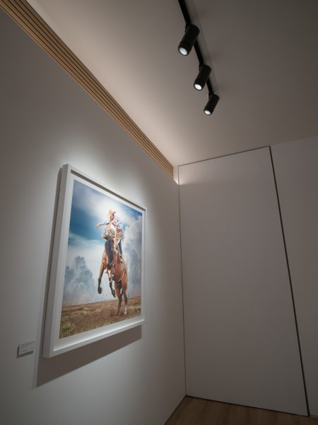 buy LED museum display lights in Texas, Houston