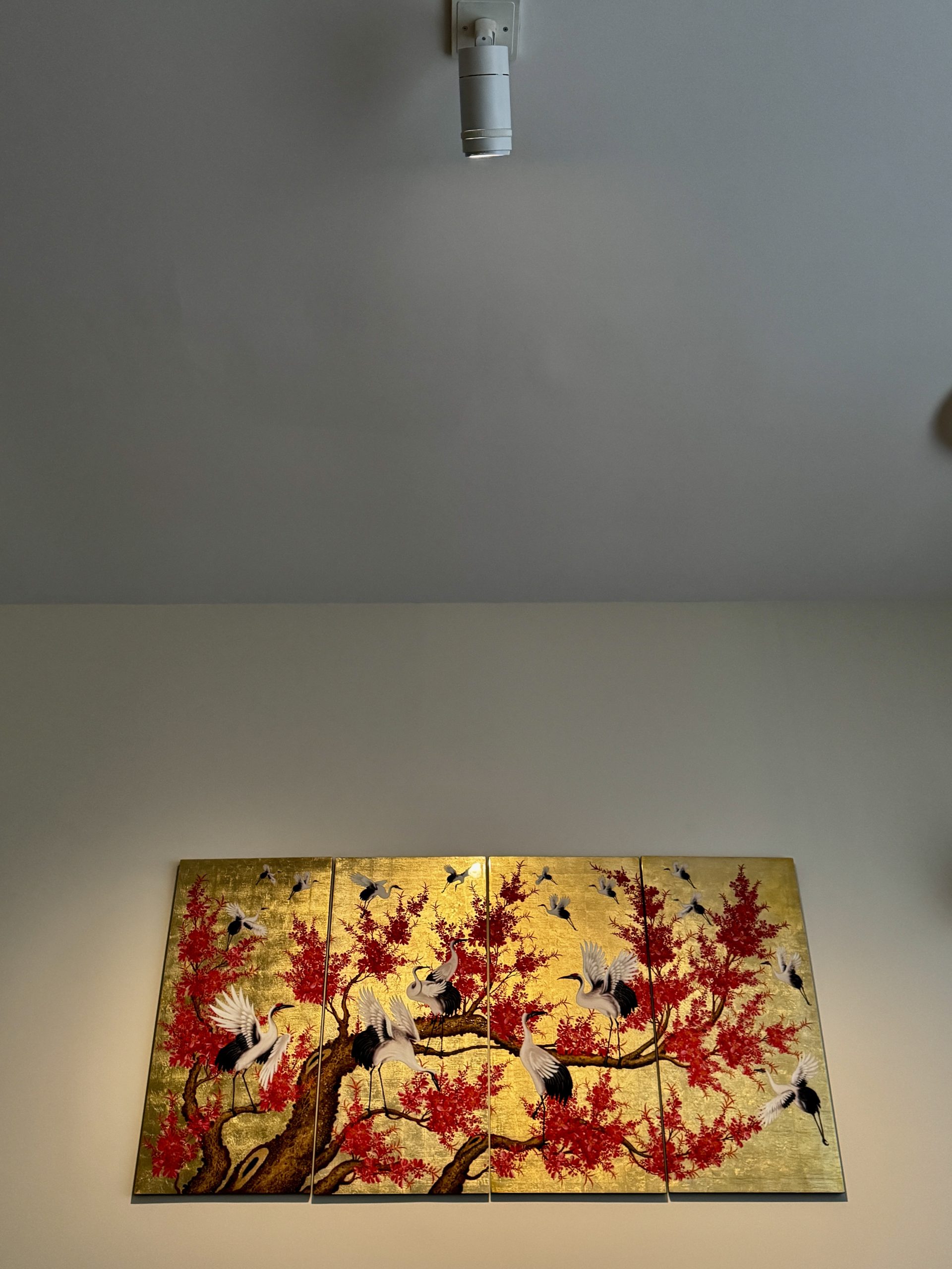 Expert advice on home gallery lighting setup and design in WA, Perth